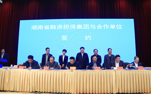 省融資擔保集團與園區、企業簽約_副本.jpg