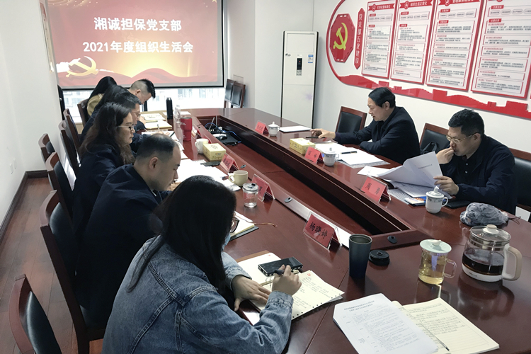 湘誠(chéng)擔(dān)保組織生活會(huì)現(xiàn)場(chǎng).jpg 湘誠(chéng)擔(dān)保組織生活會(huì)現(xiàn)場(chǎng).jpg