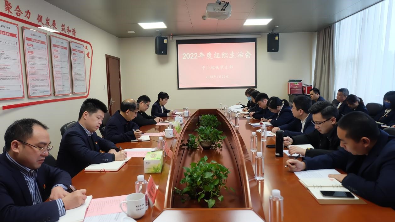 中小擔(dān)保組織生活會.jpg 中小擔(dān)保組織生活會.jpg