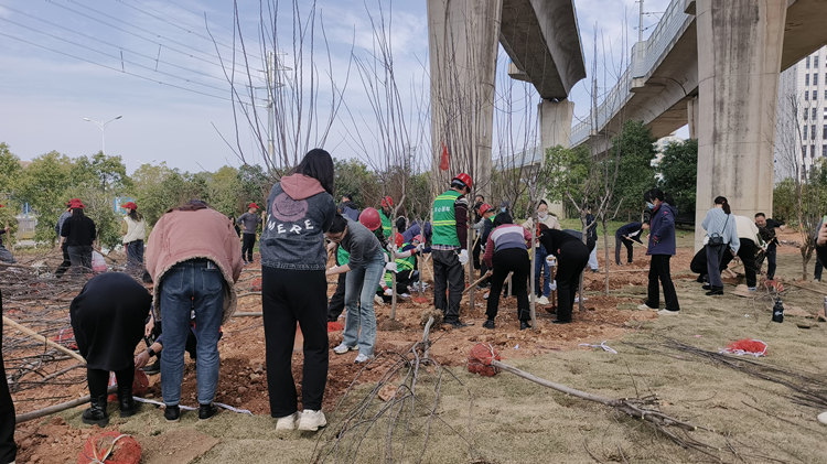 植樹2_副本.jpg 植樹2_副本.jpg